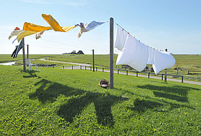 Wäsche auf der Leine trocknen - Energie sparen im Sommer